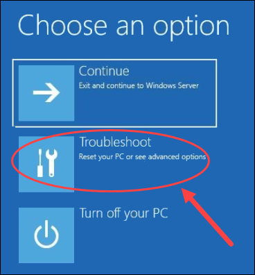 The Troubleshoot option on Windows Server installer.