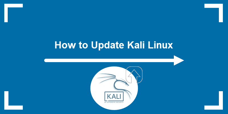How to update Kali Linux.