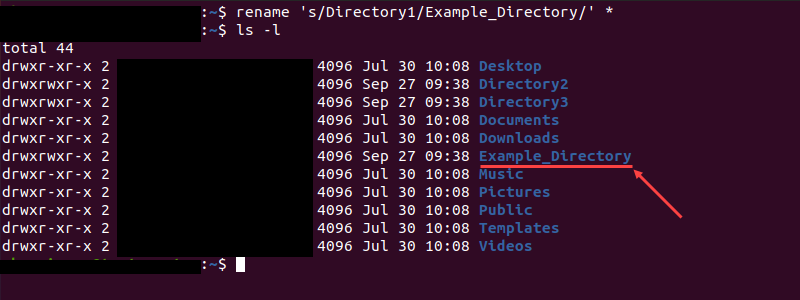 Verifying the new directory name with the ls command