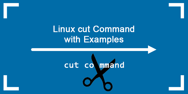 Linux cut command tutorial.