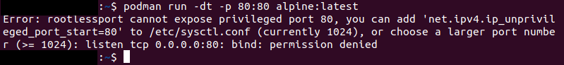 Cannot expose privileged port error.