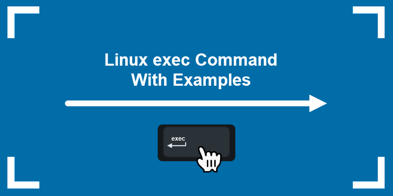 Linux exec Command With Examples