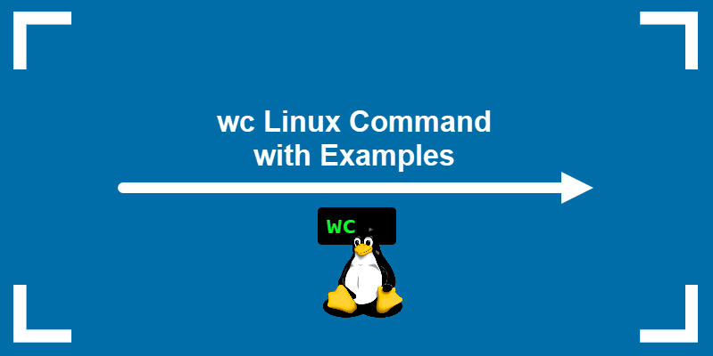 wc Linux command with examples.