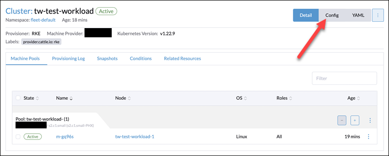 Navigating to the configuration section of the workload cluster in Rancher.
