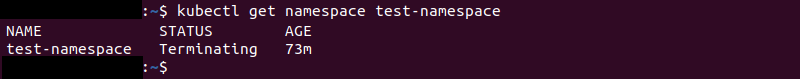 Using the kubectl get namespace command to check the status of a namespace.
