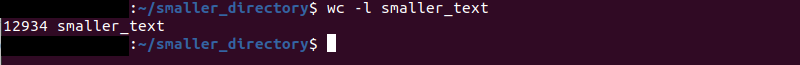 wc l smaller-text terminal output