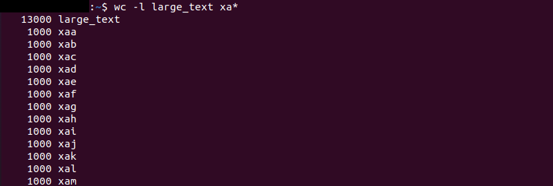 wc l large-text terminal output