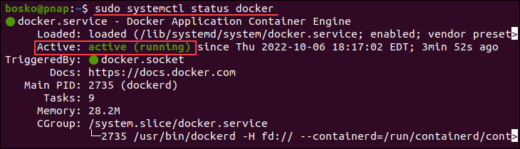 Checking the Docker daemon status.