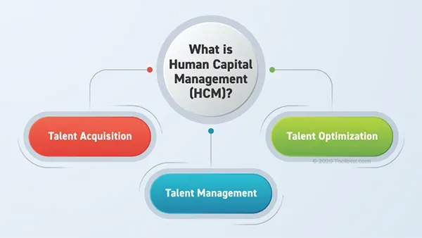 What is Human Capital Management (HCM)? Definition