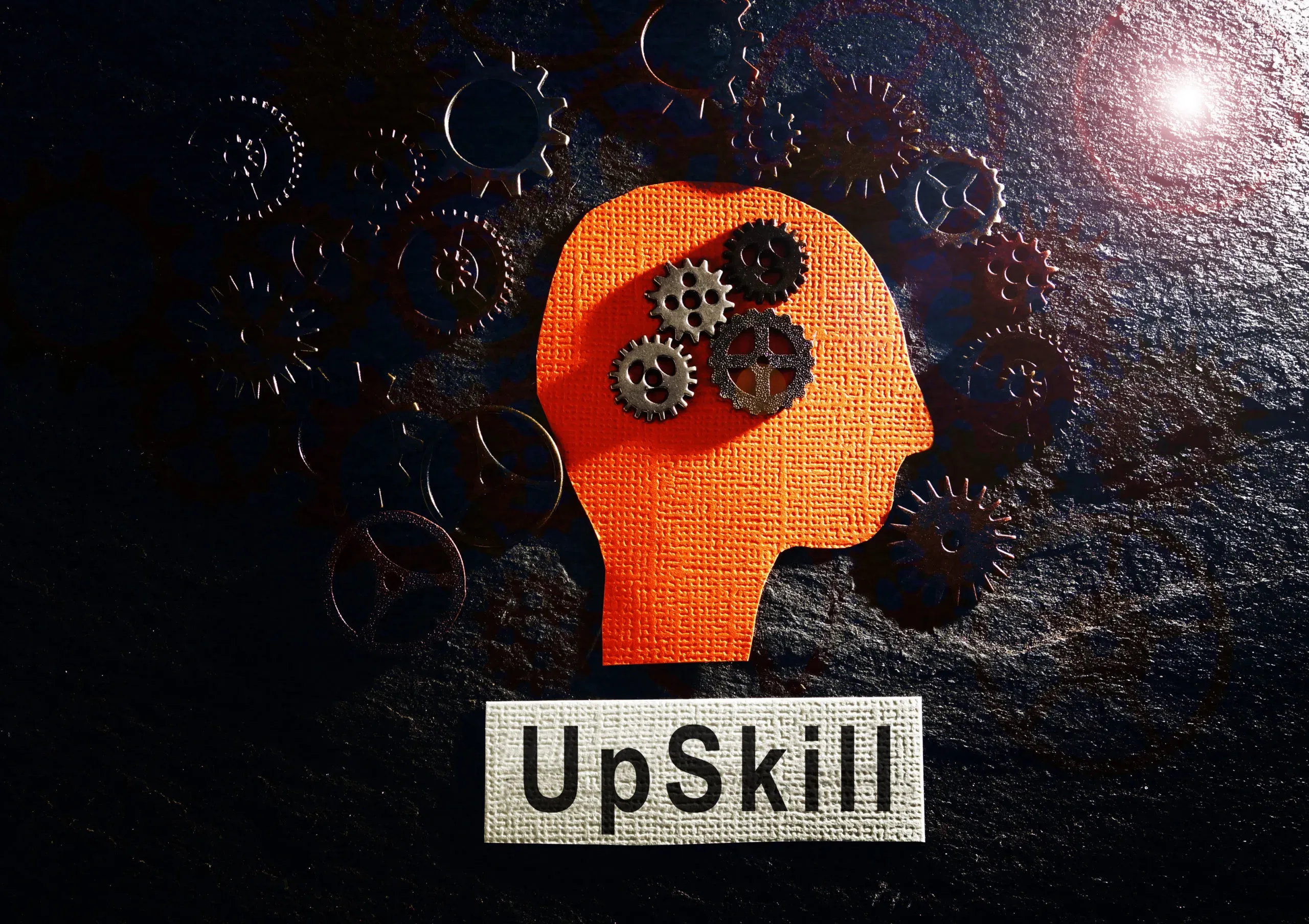 How Upskilling Can Bridge the Gender Gap in Cloud Security
