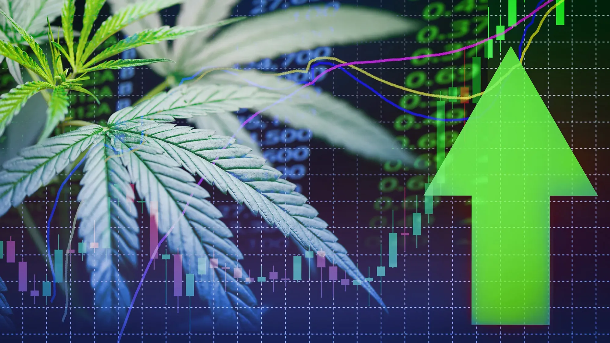 Cannabis Market Growth Prompts New Cross-Selling Strategy