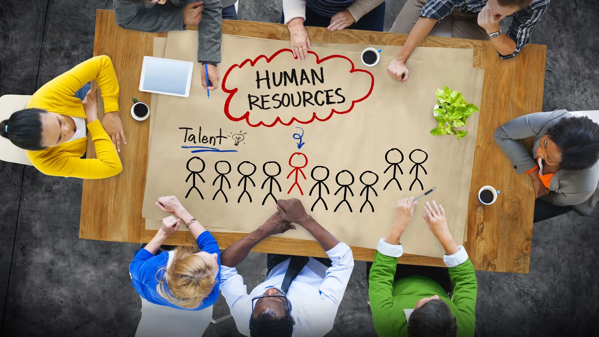 How to Develop a Top-Notch HR Strategy