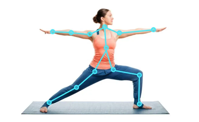 Pose Estimation for Fitness and Physical Therapy Application