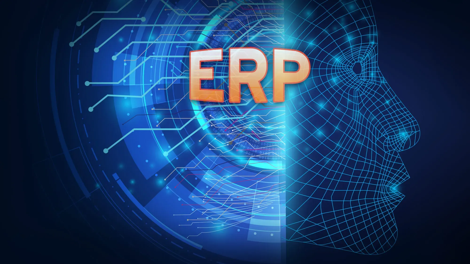 Upgrade Your ERP with Machine Learning: No Vendor Required